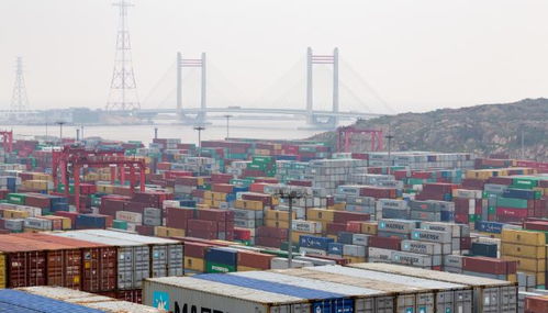 中级经济师网授课程 货运代理实务解析